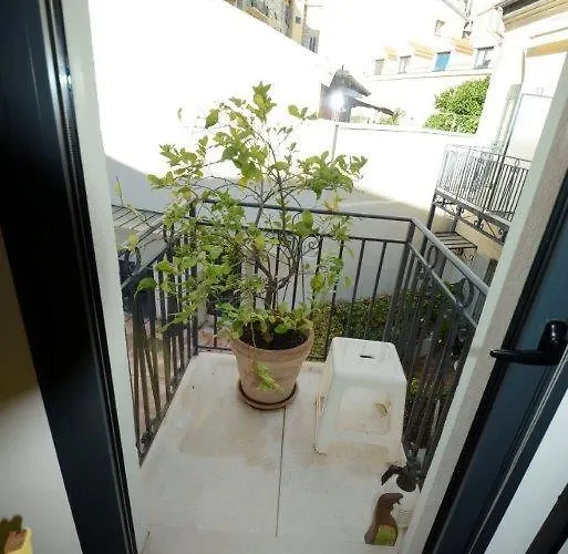 Patio Wilson 아파트 니스